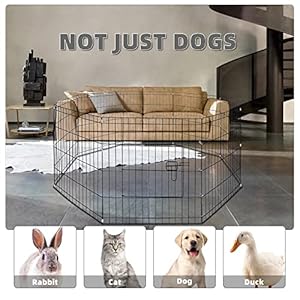 Foldable Metal Exercise Pet Play Pen with Door for Dogs 30inch Tall  Cucciolini Doodles Foldable metal exercise pet play pen with door for dogs 30 inch tall   cucciolini doodles