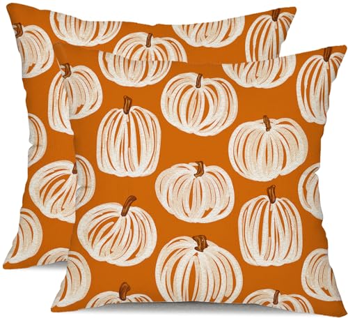 DFXSZ Fall Pillow Covers 18x18 inch Set of 2 Fall Decoration White Thick Lines Pumpkin Decor Orange Autumn Outdoor Pillow Cover Thanksgiving Decoration for Home Couch 118C