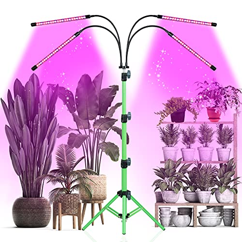 Best Grow Lights for African Violets [2021 Top picks & reviews]