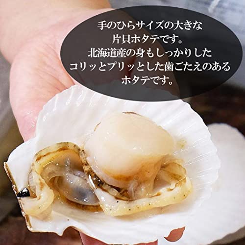 BAYU STORE 北海道産 ホタテ 殻付き 片貝ホタテ 1袋10枚入 安全確認認証済 の商品画像 2