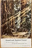 Grand and ancient forest: The story of Andrew P. Hill and Big Basin Redwoods State Park