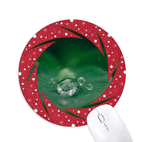 I̗t̐A̎R̎ʐ^ ~`S̐Ԃ̃zC[pbh