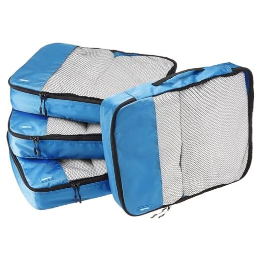 AmazonBasics - Set da 4 cubi organizzatori, misura grande, Blu