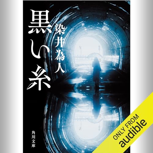 Amazon.co.jp: イン・ザ・メガチャーチ (Audible Audio Edition): 朝井