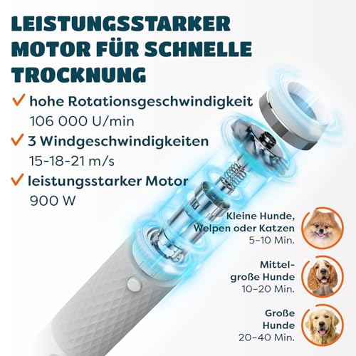 KUUBIA 5-in-1 Hundeföhn 900W | Blower Hundefön | Föhn und Bürste in einem | Tierföhn für Hund & Katze | Hundetrockner | Leise, NTC, Negative Ionen, Tragbar | für alle Rassen und Felltypen - Dryer