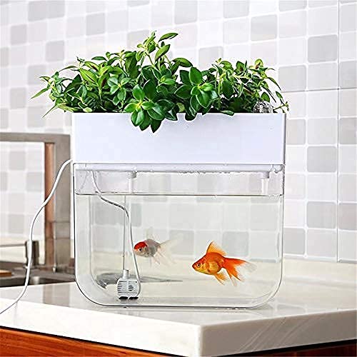 Amazon | おしゃれ アクアリウム アクアポニックス 水耕栽培システム