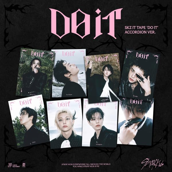 Stray Kids 'DO IT' Member Version (Accordion Ver.) K-POP Album +