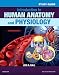 Study Guide for Introduction to Human Anatomy and Physiology, 4e