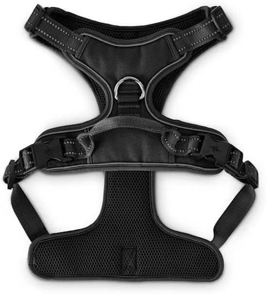EveryYay by Petco Front Walking Reflective Dog Harness Black X-Large/XX-Large