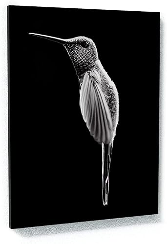 Miniatura 7 de Sense Canvas Humming Bird 3 - Lienzo decorativo para decoración del hogar, póster grande de 30 x 40 pulgadas, 0.75 pulgadas