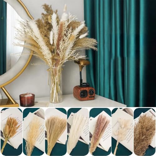 Pampas Grass Large Pampas Grass Decor Home Bouquet Natural Fluffy miniatura 3