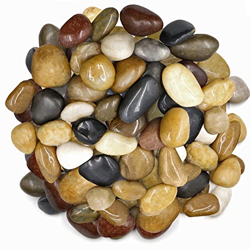 Polished Colored Stone Pebbles 10 Lb. 1” – 2” Inch Pebbles For Plants, Fairy Gardens, Décor, Landscaping, Succulent, Terrarium, Decorative, 100% Natural Colorful Stone Pebbles, Multicolored Rocks #TOP21