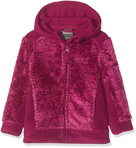 Jack Wolfskin Boys Outerwear, Fuchsia Stripes, 3-4 US