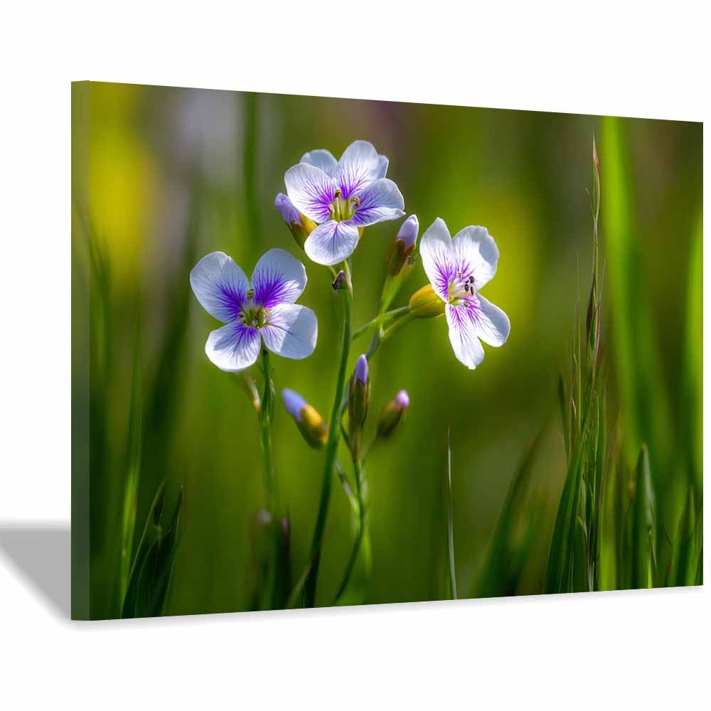 ZAMAEIU Landscape Pictures For Wall Clusters of wildflowers art prints and posters, Suitable for Living Room Bedroom Decor apartment Wall Decoration(white)-30x50cm Framed