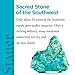 Stauer - Women's Sedona Turquoise Ring (Size 8)