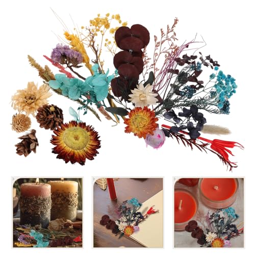 Flores secas naturales surtidas para manualidades 2 cajas miniatura 7