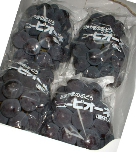 󂠂 RY Ԃǂ sI[l 1.8kg 3~5[ ƒp Di ϔ uhE 