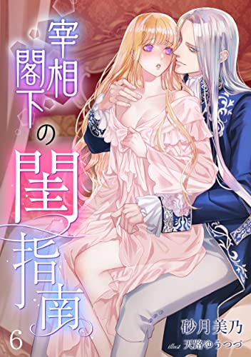宰相閣下の閨指南(6) (アマゾナイトノベルズ)