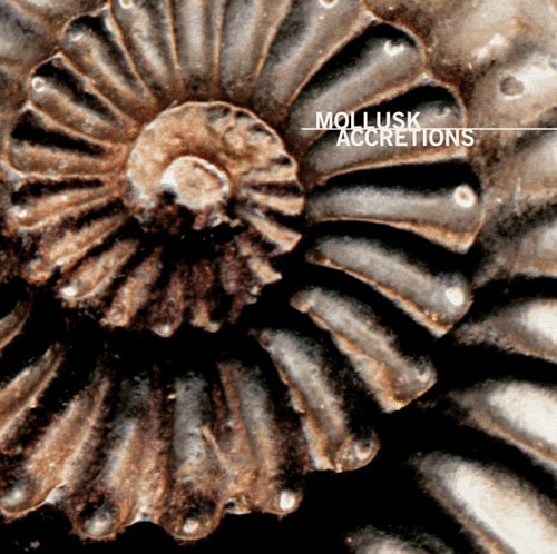 Accretions (US Import) [DE Import] [Import anglais] [Audio CD]