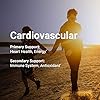 4Life-Transfer-Factor-Cardio-Targeted-Cardiovascular-System-Support-with-Ginkgo-Biloba-Garlic-and-Resveratrol-120-Capsules 4Life Transfer Factor Cardio - Targeted System Support Dietary Supplement with Ginkgo Biloba, Garlic, Red Yeast Rice, and Resveratrol - 120 Capsules