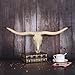 Longhorn Bull Skull Wall Art, Steer Horns Head Decor for Rustic Farmhouse Style, Home & Office