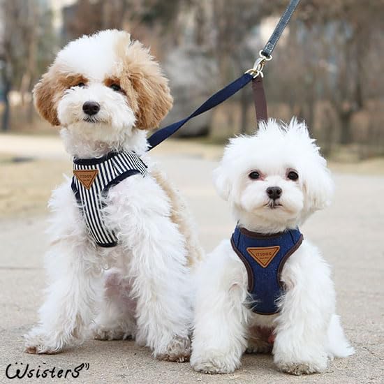 Amazon | 犬 ハーネス リード お出かけ 散歩 胴輪 かわいい 人気 小型