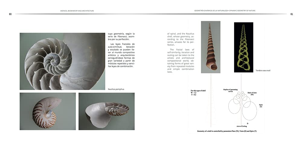 ARQUITECTURA BIONICA: BIONIC ARCHITECTURE (SIN COLECCION)