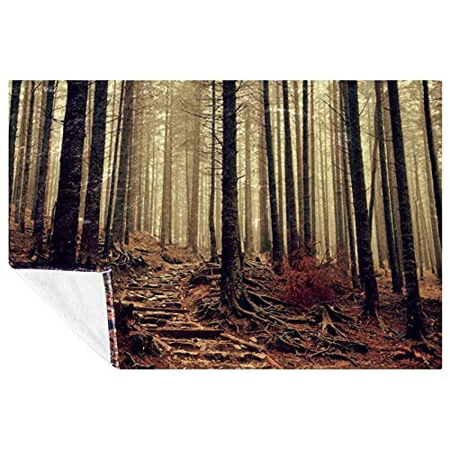 Couverture douce isolation thermique maximale jeté de lit et canapé lavable en machine 150x100 - 2