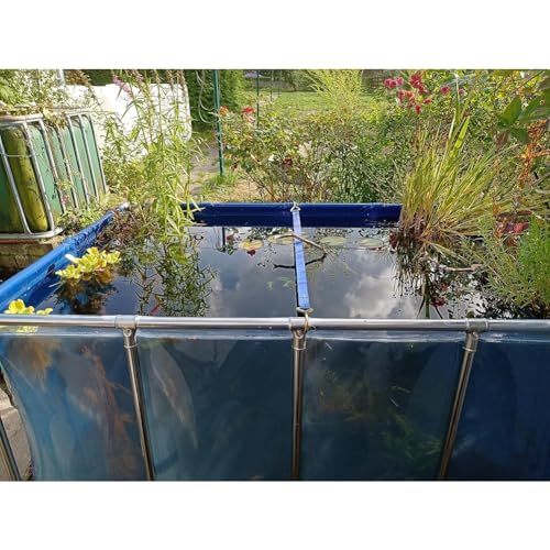 Laghetto per pesci con pannello di visualizzazione, rivestimento in PVC resistente, telaio in acciaio, bacino per acquario da giardino per koi e vita acquatica, include valvola di scarico, fontana per