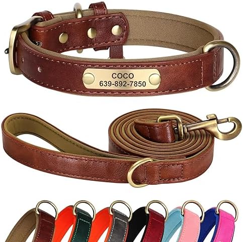 Didog Personalized Leather Dog Collar and Leash Set for Small Medium Large Dogs, 5FT Soft Padded Leather Dog Leash and Collar, Heavy Duty Dog Collar Leather with Engraved Name Plate, Brown, M