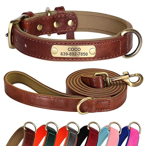 Didog Juego de Collar y Correa de Cuero Personalizado para Perros pequeños, medianos y Grandes, Correa y Collar de Cuero Acolchado Suave de 5 pies, Collar de Cuero Resistente con Placa de Nombre