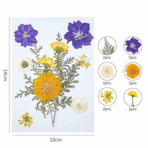 Flores Secas Prensadas Reales para Moldes de Resina miniatura 2