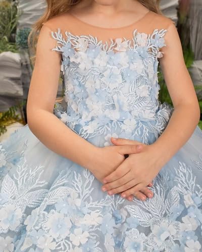 Flower Girl Dress Short Tulle Pageant Dresses for Girls 3D Flower Lace Appliques First Communion Dress for Girls Party Ball Gown Champagne Flower Girl Dress, 74