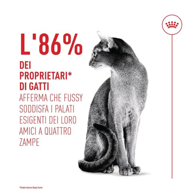 Amazon | ロイヤルカナン FHN セイバーエクシジェント 猫用 2kg