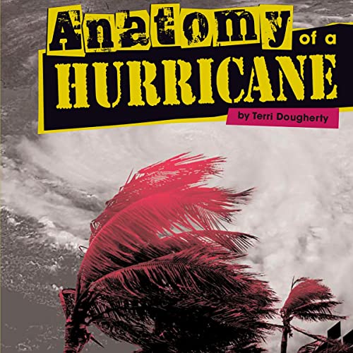 Anatomy of a Hurricane by Terri Dougherty episode artwork