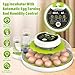 Egg Incubator with Automatic Egg Turning and Humidity Control, Chicken Incubators for Hatching Eggs, Holds 18 Eggs Encabulator for Chicken, Suitable for Hatching Chickens, Quails, Ducks,Parrots,Geese