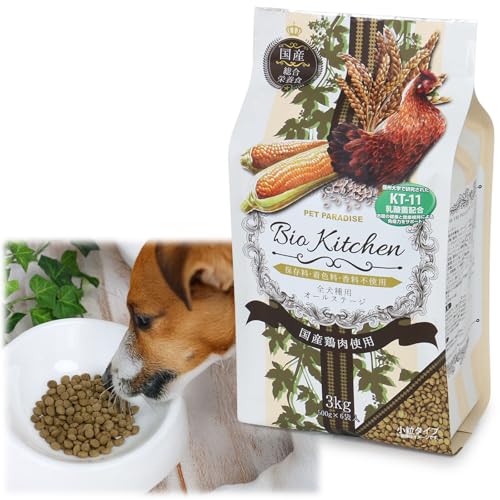 Amazon.co.jp: ペットパラダイス: ペットパラダイス