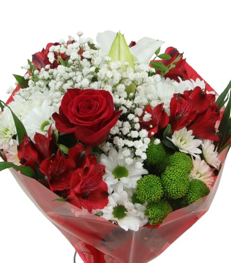 DECOALIVE Ramo Rojo Natural con Flores Faciles de Cuidar