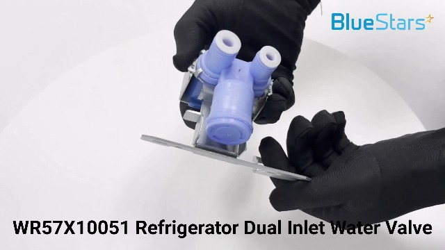Amazon.com: BlueStars Upgraded WR57X10051 Refrigerator Dual Inlet