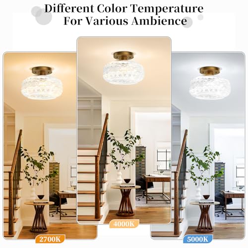 Apoto CA-9 SERIES Industrial Semi Flush Mount Ceiling Light Fixture,Gold Hallway Light,Globe Glass Light Fixture Ceiling,Vintage Ceiling Lamp,Farmhouse Light thumb #4