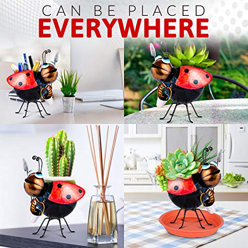 Unique Cute Planter, Whimsical Metal Ladybug Succulent Flower Pot, Decorative Fun Planter For Cactus And Air Plants - For Outdoor Or Indoor Spaces #TOP3