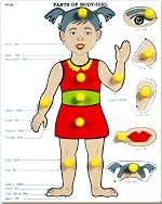 Little Genius Parts of Body – Girl with Big Knob, Red