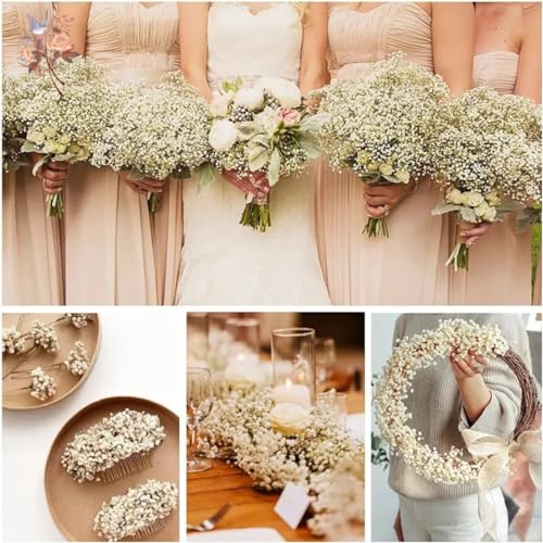 Image of Xtore Dried Warm Gold Grass Bunch for Home Decor (Pack of 1, Warm Gold)