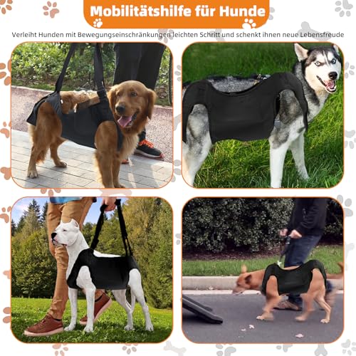 Tragehilfe Hund: Hundetragegurt – Ganzkörper-Hebleine mit Griff für Hunde von 17-27kg, Mit Stützring, speziell für kranke oder ältere Hunde