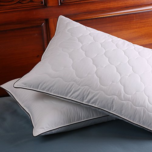 DOWNIGHT Set of 2, Down and Feather Pillow Double Layered Fabric Bed Pillow, 100% Cotton Fabric, Standard/Queen