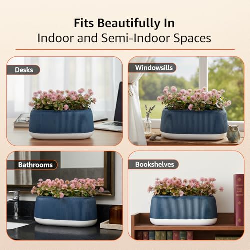 Image of amazon basics Pink Flowers with Blue and White Plastic Pot | Realistic 20 cm Greenery | Durable Plastic | Stylish & Compact | Zero Maintenance | Indoor, Outdoor, Home & Office Decor