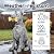 Miggley Dog Solar Garden Statue with LED Light - Outdoor Yard, Lawn, Patio Doberman Decor - Unique Birthday Housewarming Gift for Dad, Mom, Men, Women