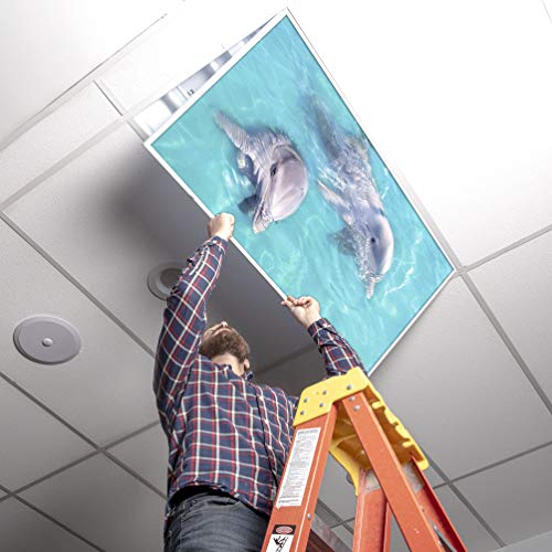 Image of Fluorescent Light Cover for Classroom Ceiling Lights - Premium Backlit Film Insert 2x4 (22.38 inchx46.5 inch) Florescent Fixture (Pack of 1) School, Office, Sensory, Improve Focus, Eliminate Headache, Dolphin