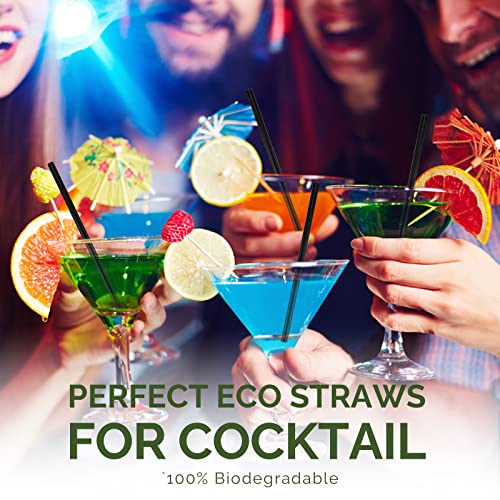 Small Black Paper Straws for Cocktails Coffee & Short Drinks - 14.6 x 0.6 cm, Pack of 500 - 100% Biodegradable and Compostable - Image 4