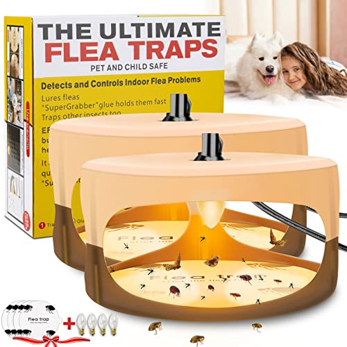 Top 10 Best Flea Trap Top Picks 2023 Reviews